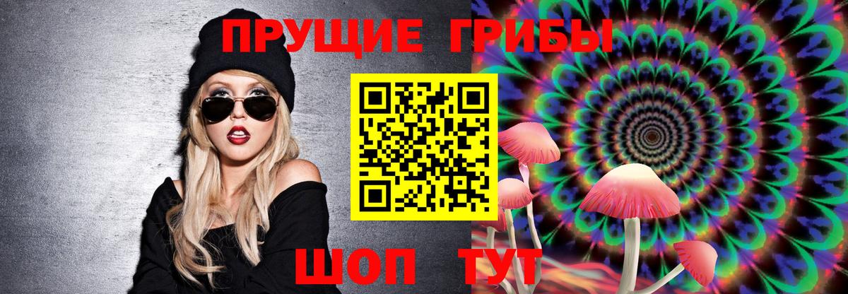 Псилоцибиновые грибы мицелий  Вход с VPN  Отрадное  Галлюциногенные грибы мухоморы 
